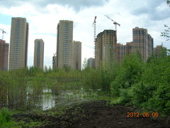 20120606_3_step_20.jpg