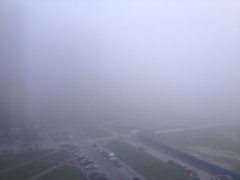 fog01.jpg