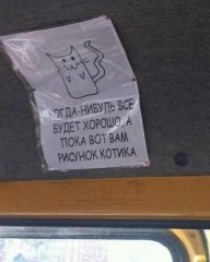 Рисунок котика.jpg