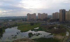 20150729_180751.jpg