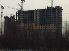 20120322_113529.jpg