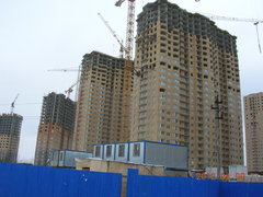 20120408_120248.jpg